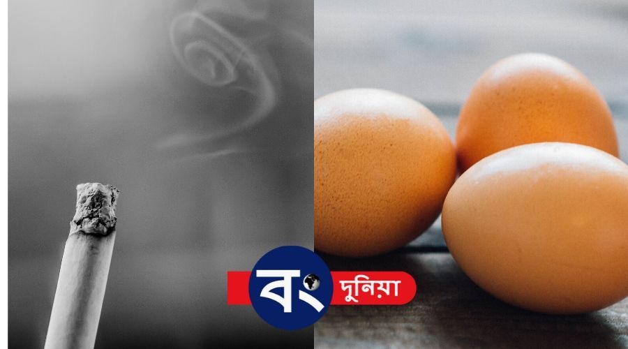 smoking or eggs which is more harmful